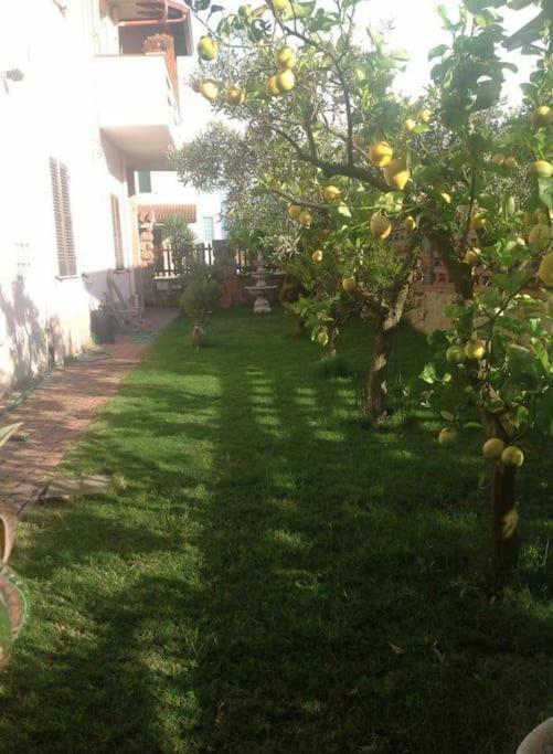 Su Suergiu Villa San Giovanni Suèrgiu Eksteriør billede